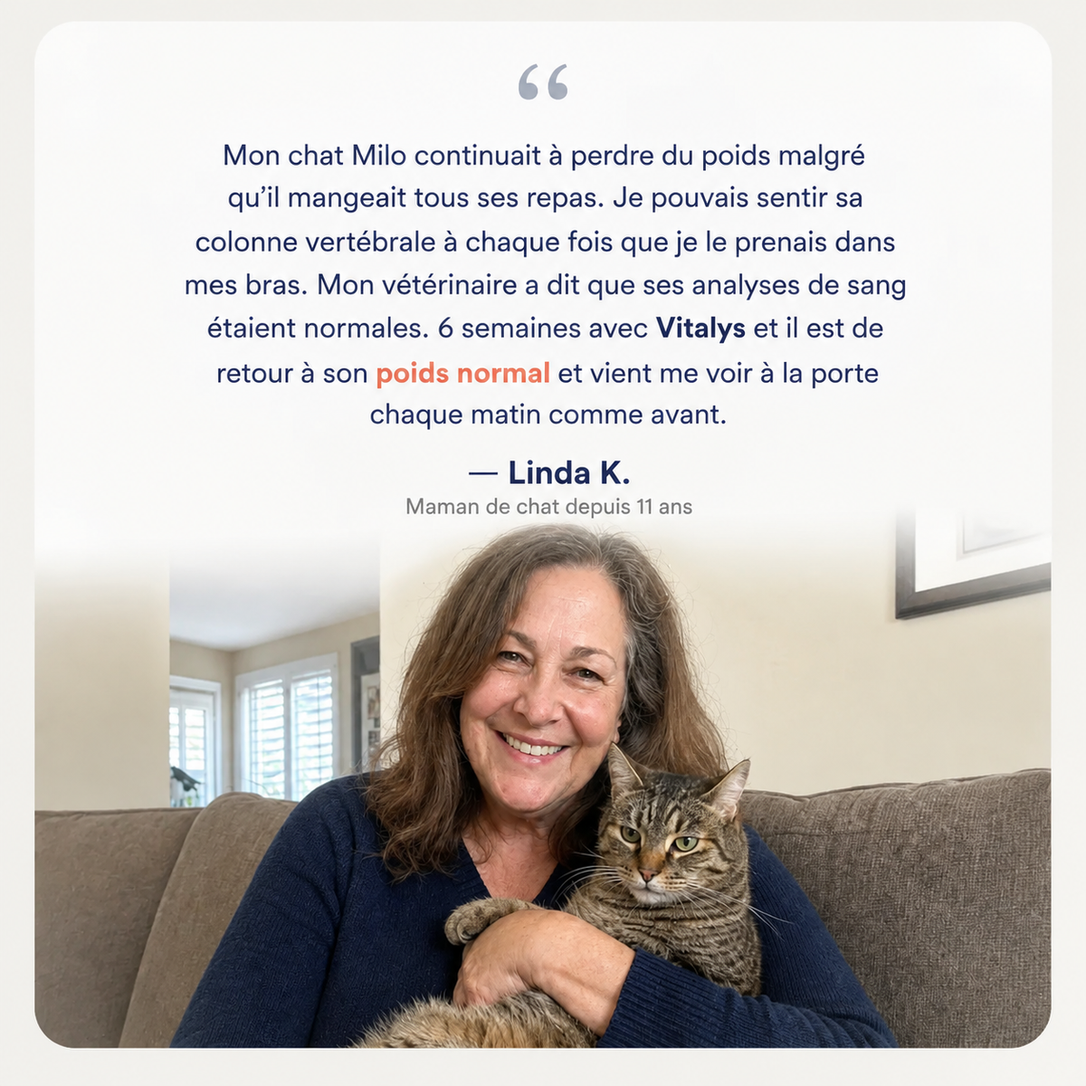 Vitalys™ – Gouttes de vitamine B12 pour chat